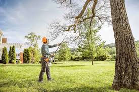 How Our Tree Care Process Works  in  Bloomingdale, GA